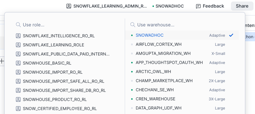 Role and warehouse picker