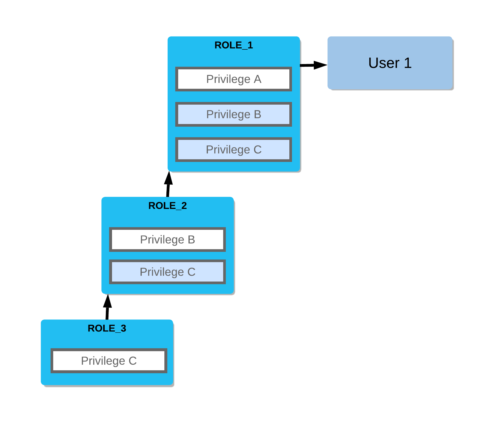 Privilege inheritance for granted roles