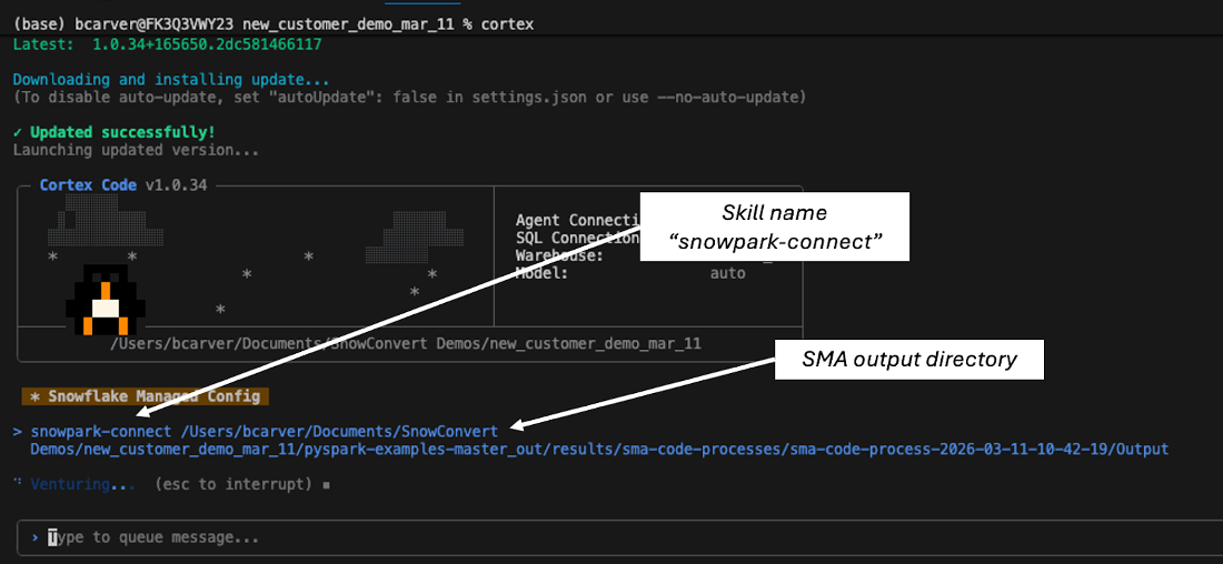 Screenshot showing the skill being pointed at an SMA output directory.