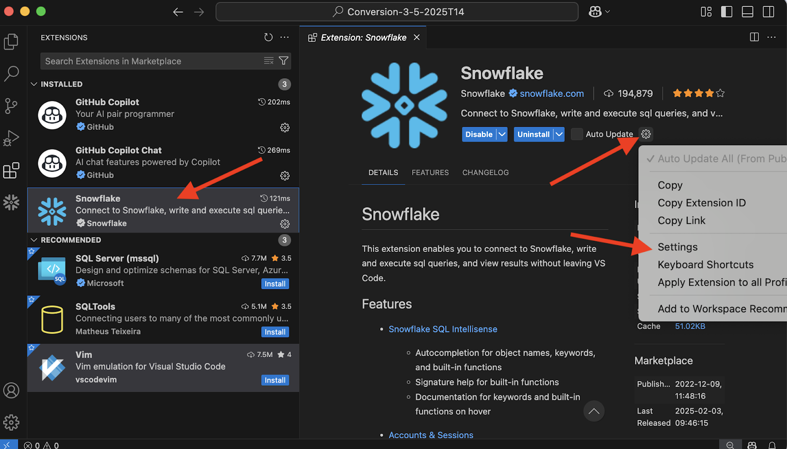 Snowflake extension > settings