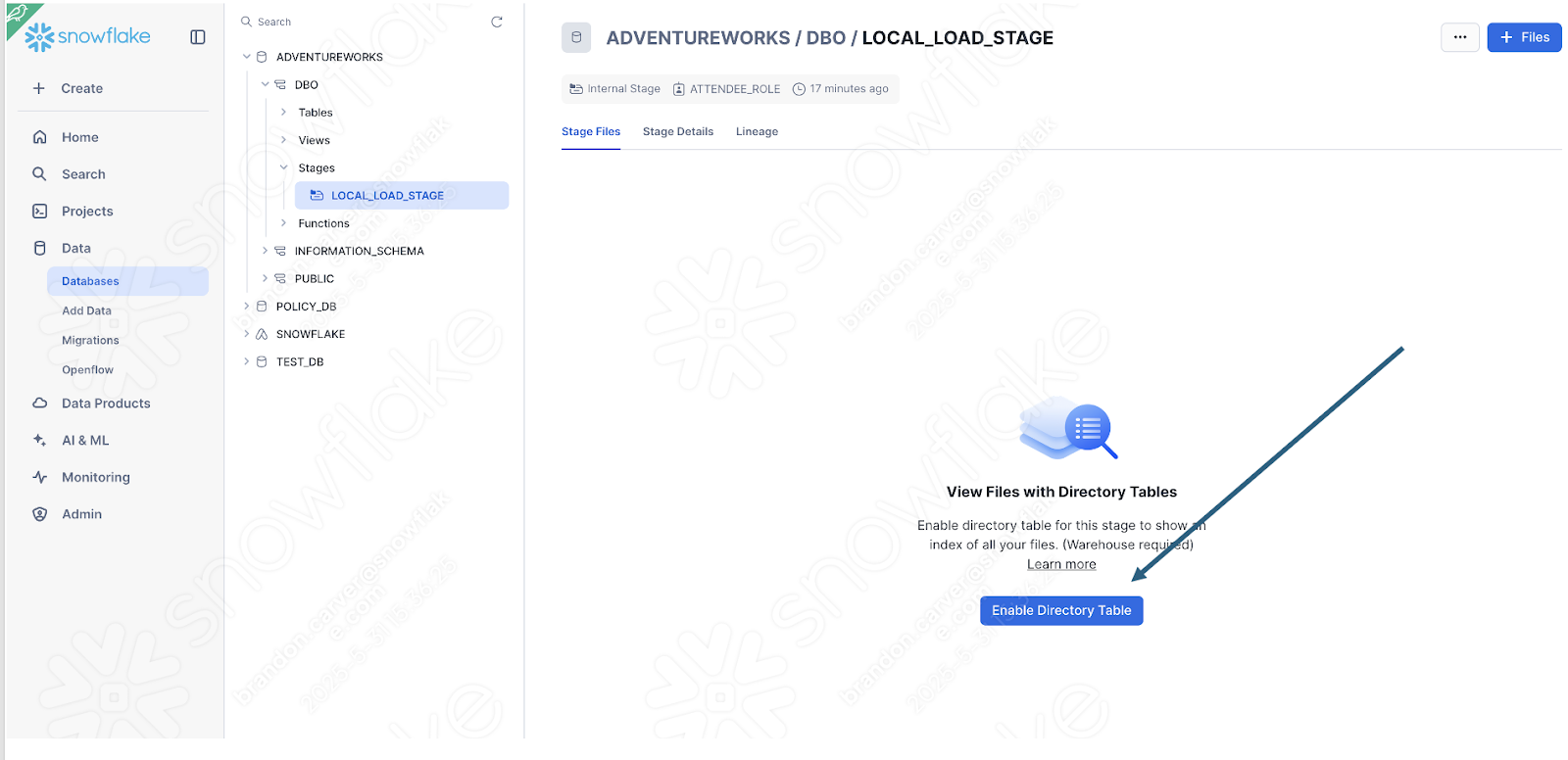 Enable Directory Table button