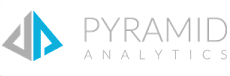 Pyramid Analytics